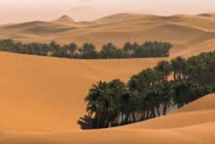 مجوز معدن کاری در بیابان لوت نمی‌دهیم/ ترویج گردشگری دوستدار طبیعت