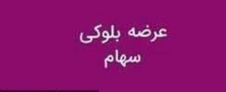 بلوک ۱۴.۶ درصدی سهام شرکت بیمه فرابورسی روانه میز فروش شد