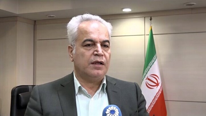 بانک مرکزی به خوبی قشر خاکستری بازار ارز را مدیریت کرد