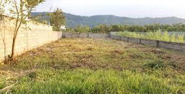 ۵۰۰‌هزار قطعه زمین روستایی واگذار می‌شود