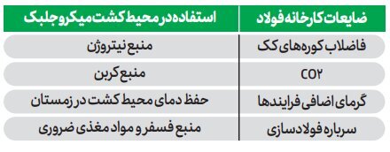 فناوری زیستتوده میکروجلبک جهت کاهش انتشار CO۲ در صنعت فولاد فناوری زیستتوده میکروجلبک جهت کاهش انتشار CO۲ در صنعت فولاد