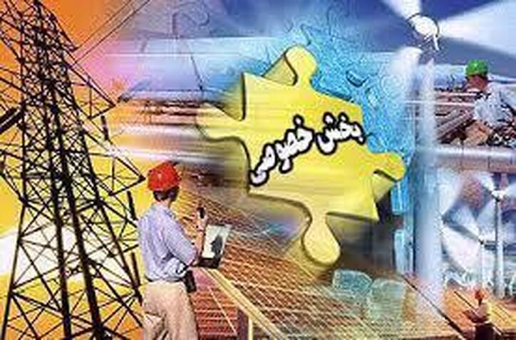 ساماندهی در حوزه توزیع کالا باید در بخش خصوصی انجام شود