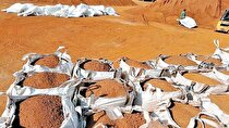 سرب و روی بین قیچی مشکلات