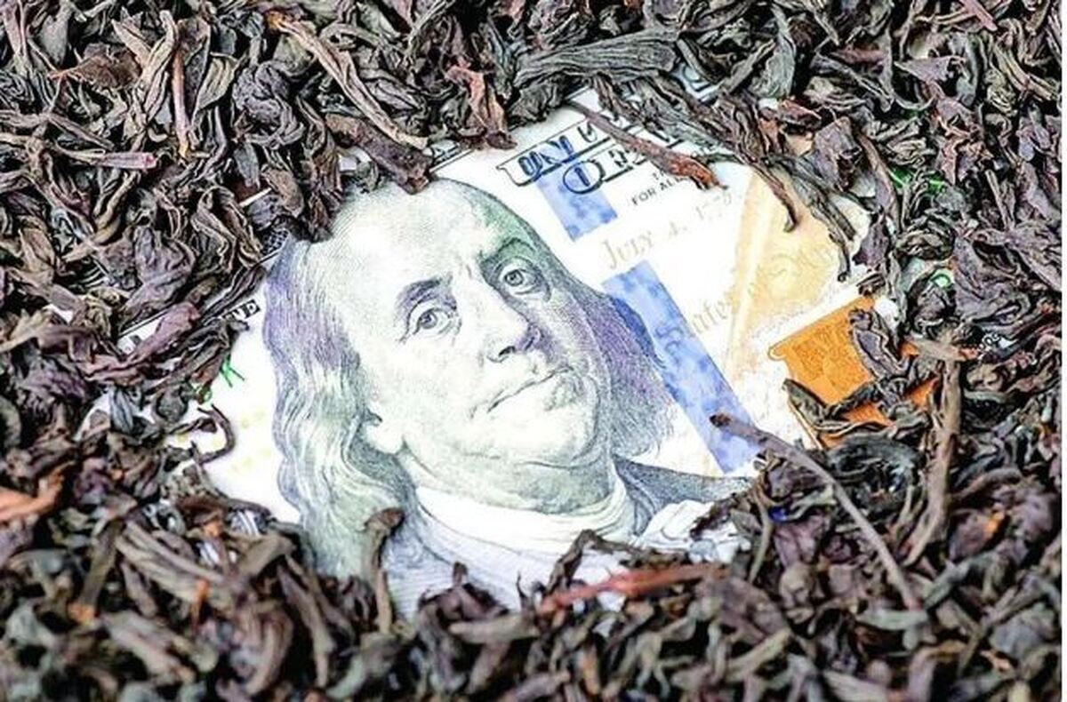 تکلیف ارز ناشی از تخلف چای چه می‌شود؟