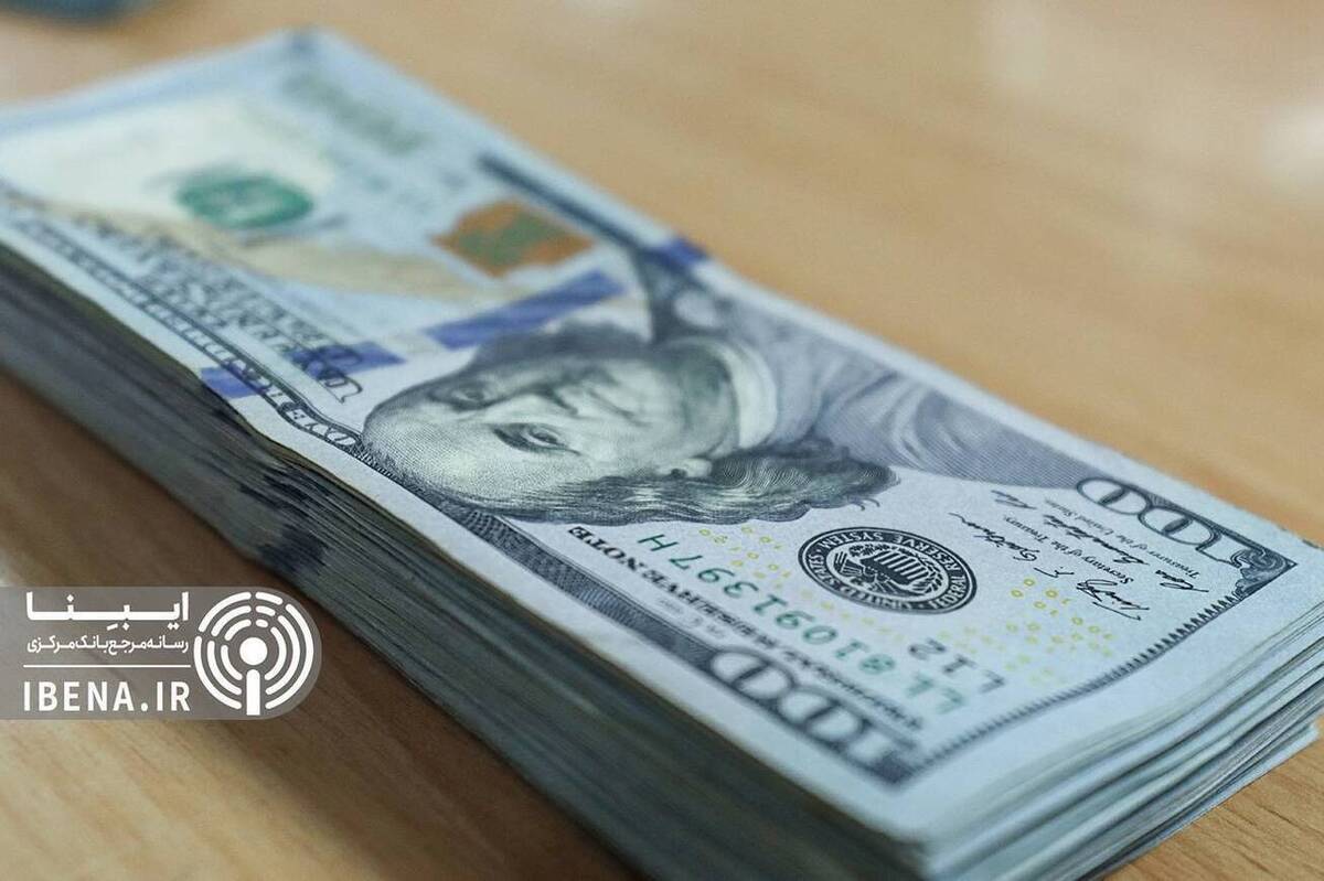 پوست خربزه دلالان زیر پای خریداران دلار