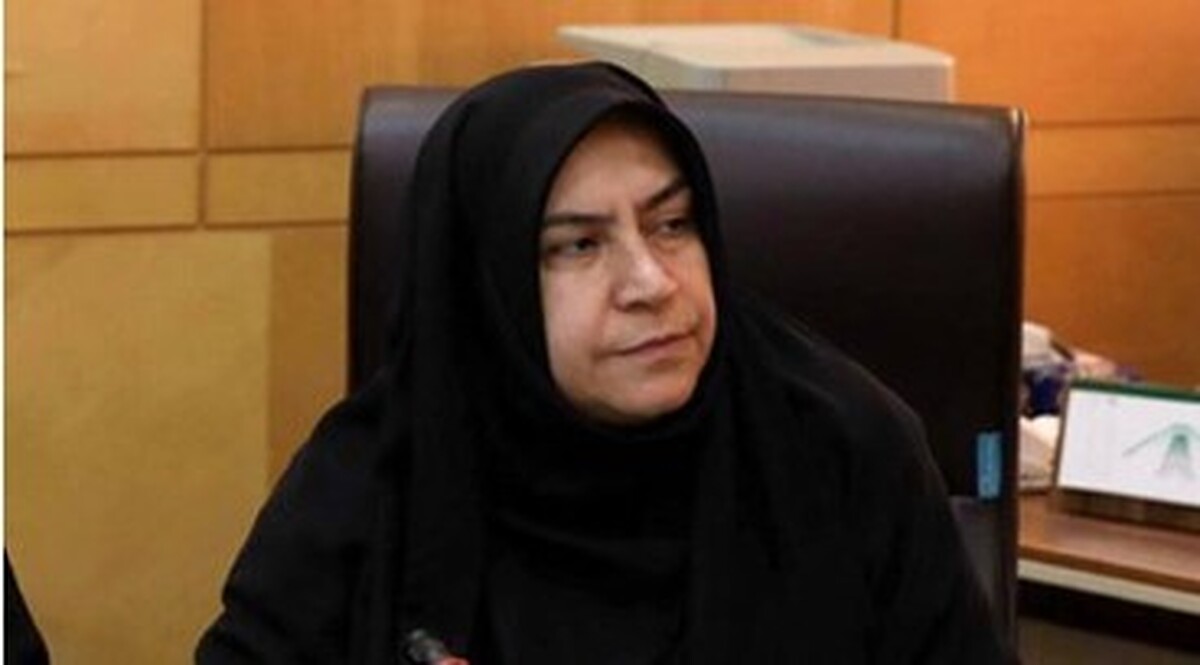 ورود کمیسیون اقتصادی مجلس به موضوع افزایش نرخ ارز