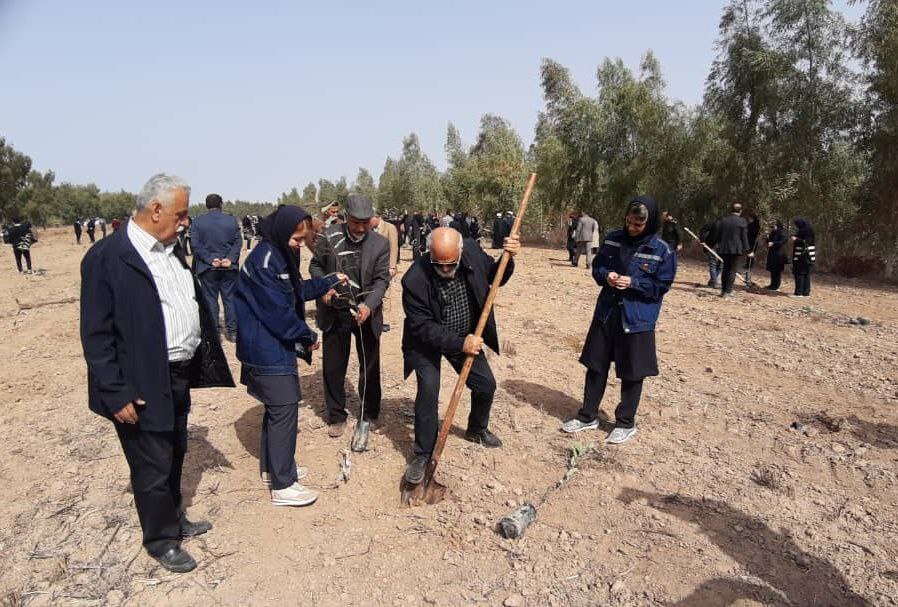 پویش سراسری نهال کاری به نام پویش سراسری نهال کاری به نام