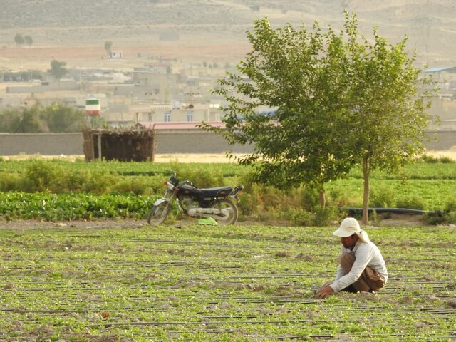 از معادن موجود در روستاها خدمات و عوارضی عاید روستاییان نمیشود از معادن موجود در روستاها خدمات و عوارضی عاید روستاییان نمیشود