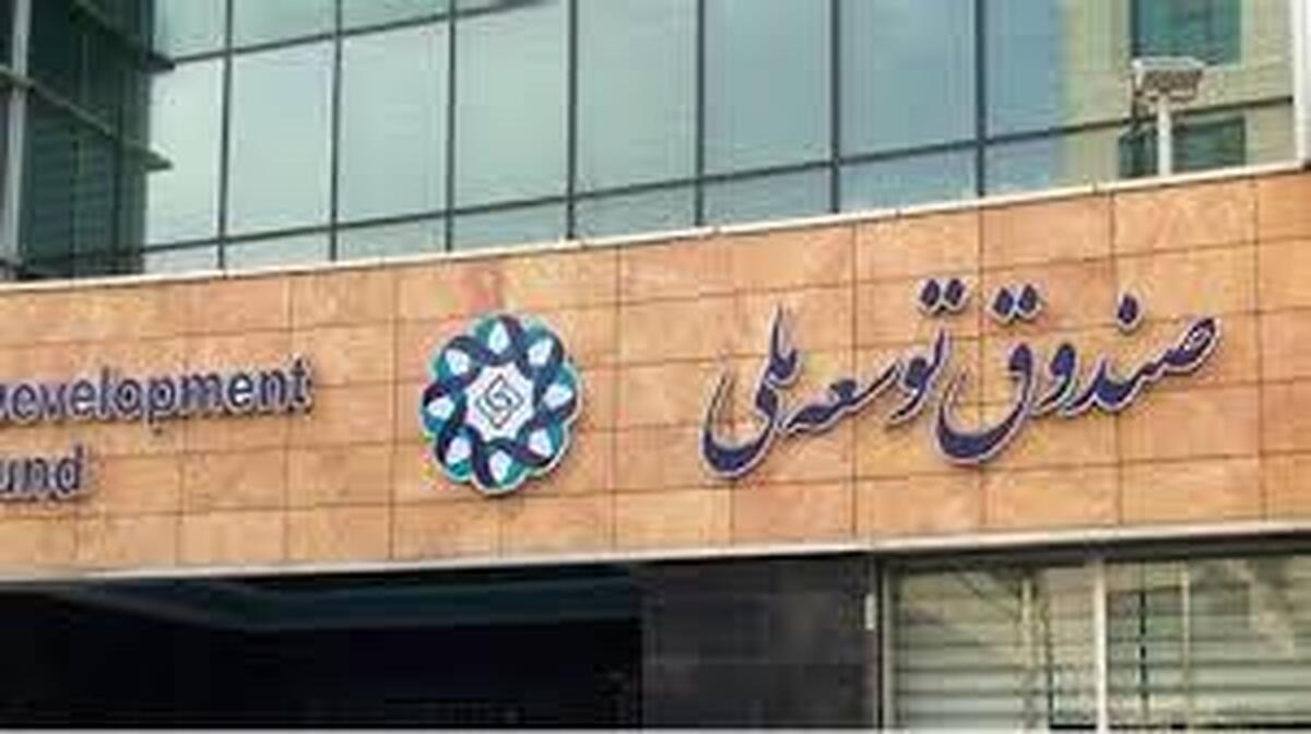 معاون صندوق توسعه ملی به دو دلیل از شرکت ملی نفت انتقاد کرد