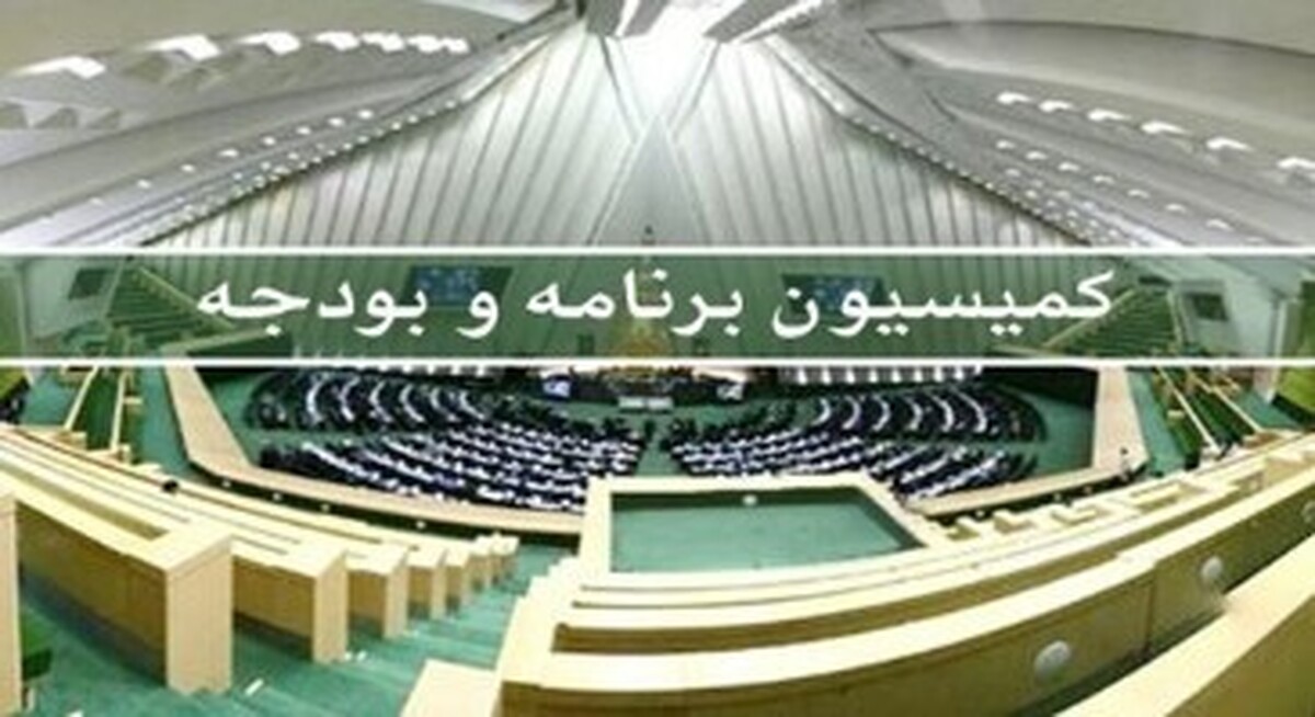 «خاندوزی» جهت بررسی عملکرد مالی سال ۱۴۰۲ کل کشور کمیسیون برنامه و بودجه می‌رود