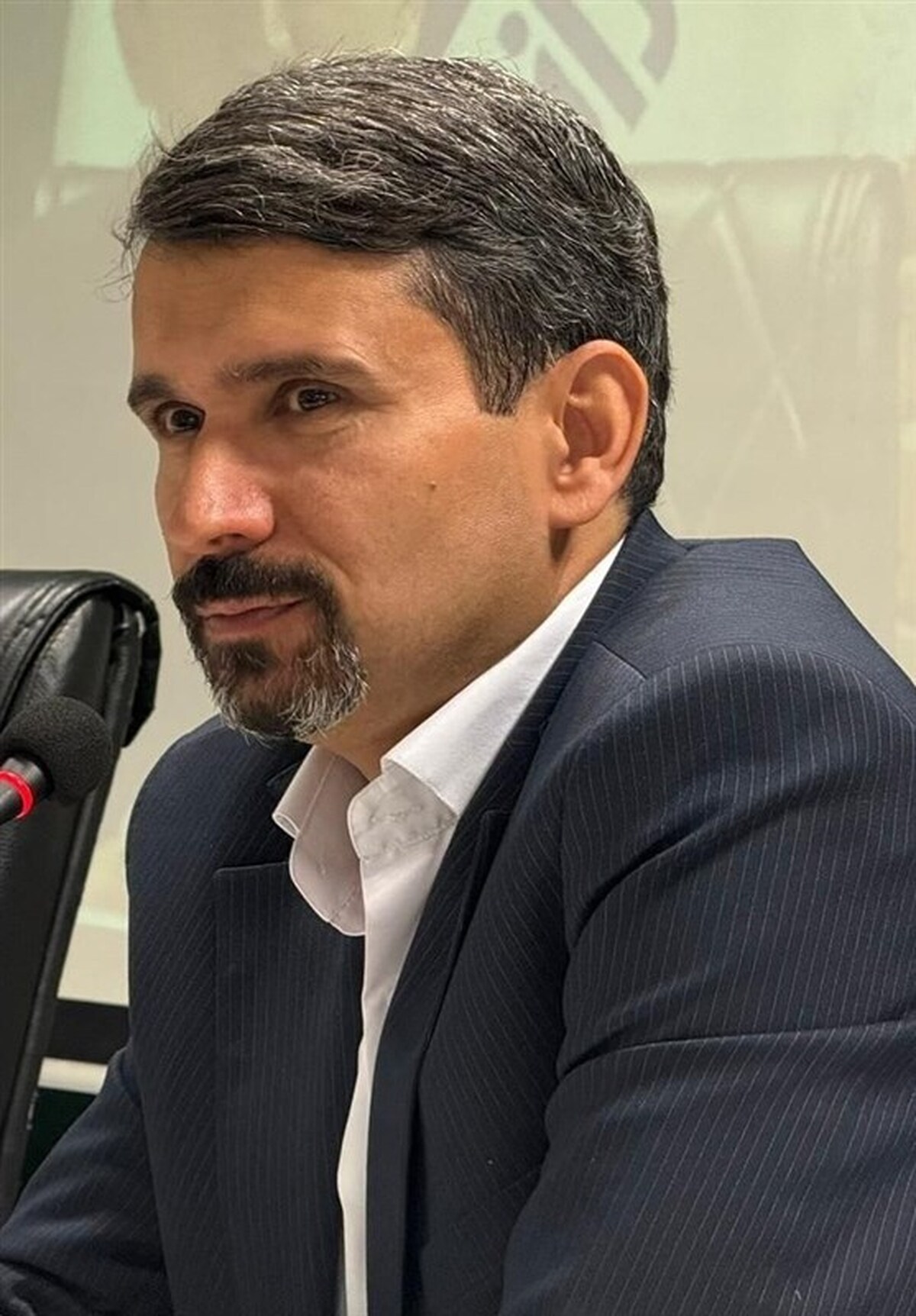حجتی مدیرعامل بیمه رازی شد