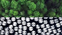 جدیدترین برنامه‌های چین برای دستیابی به فولاد سبز