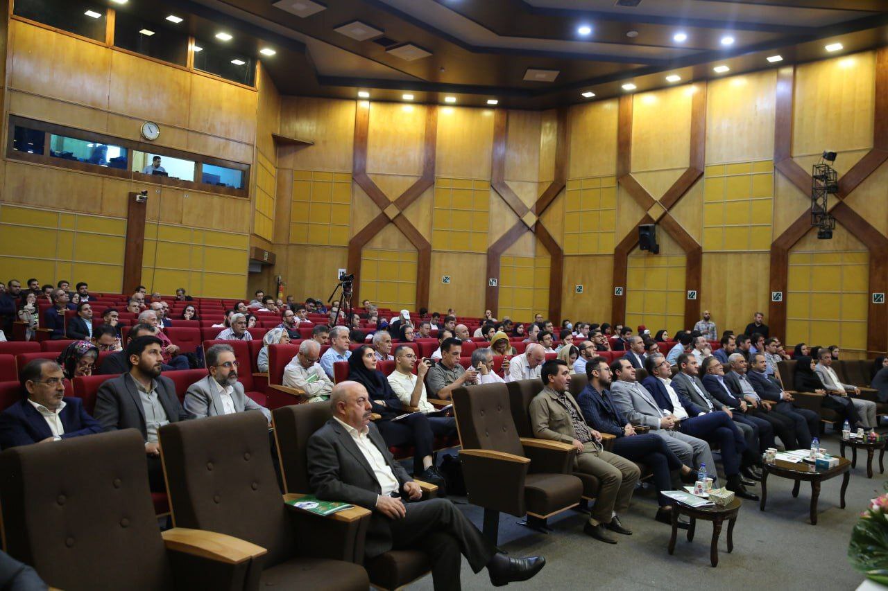 عملکرد طلائی صدر تامین در حوزه سرمایهگذاری عملکرد طلائی صدر تامین در حوزه سرمایهگذاری