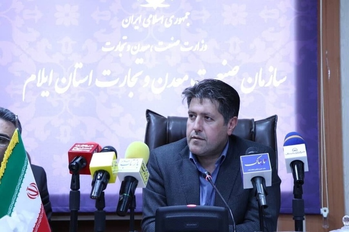 انجام هفت هزار و ۸۱۵ مورد بازرسی از بازار ایلام