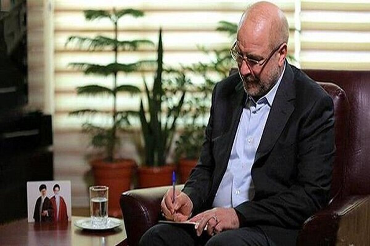 شناسایی عوامل و خاطیان «حادثه معدن طبس» در دستورکار مجلس است