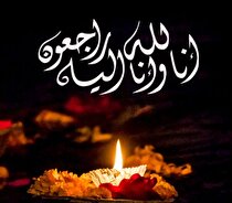 مدیرعامل فولاد خوزستان در پیامی درگذشت والده‌ی فرمانده سپاه حضرت ولی عصر (عج) استان خوزستان را تسلیت گفت
