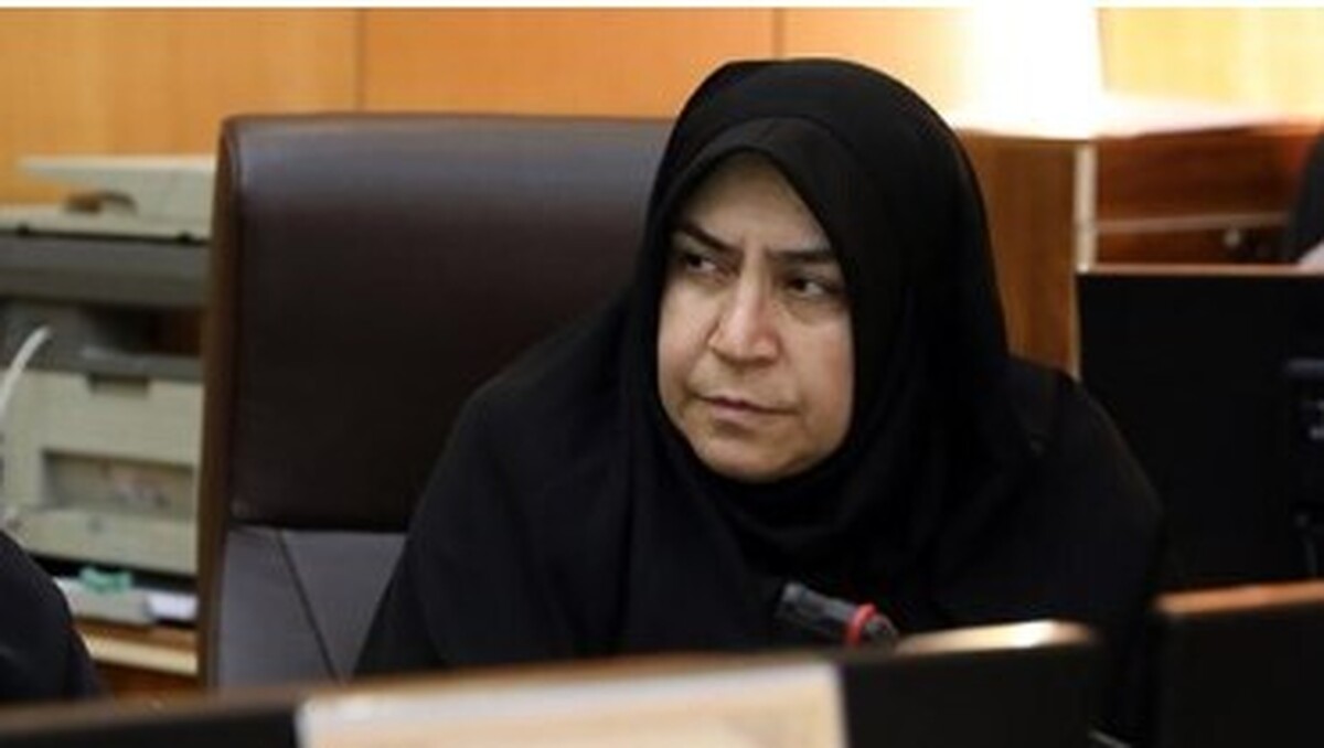 گزارش رئیس سازمان امور مالیاتی از درصد تغییرات مالیاتی در کمیسیون اقتصادی
