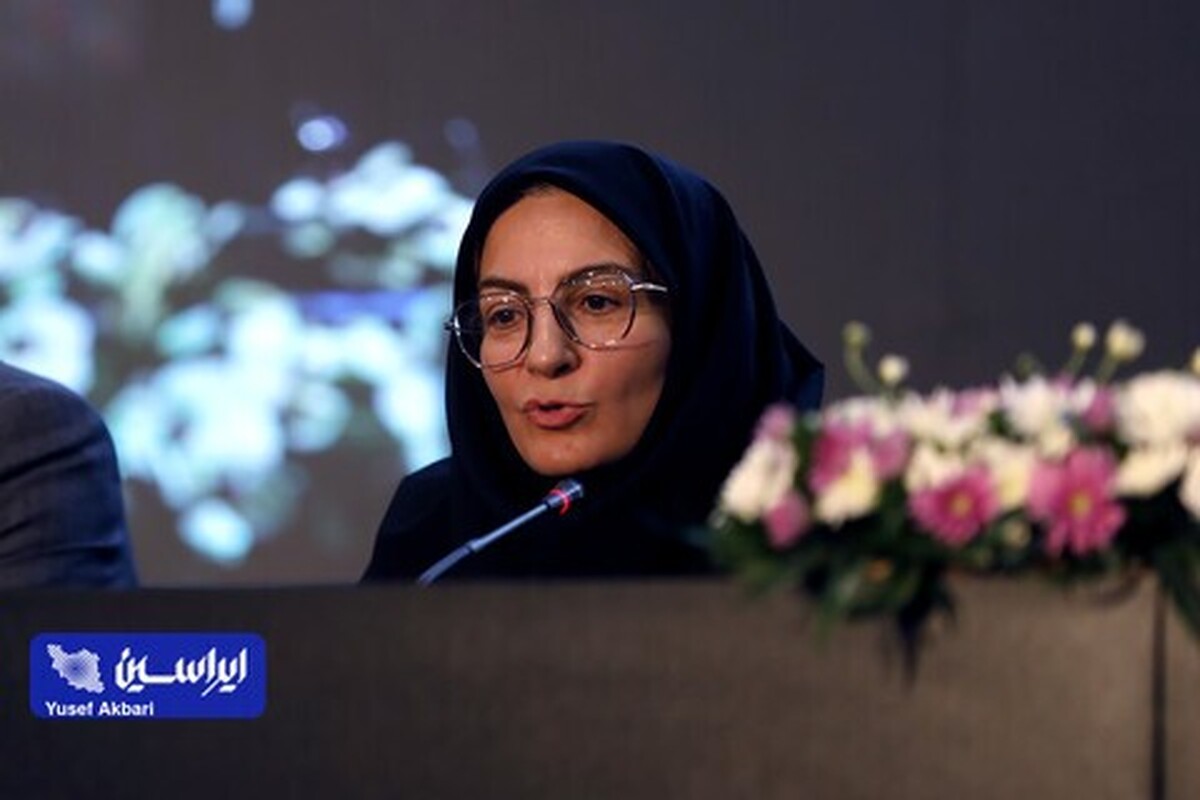 انتقاد مدیر دفتر و برنامه‌ریزی بودجه ایمیدرو از قطعی گاز نیروگاه فولاد مبارکه/ چالش‌ها با نگاه ملی دیده شود