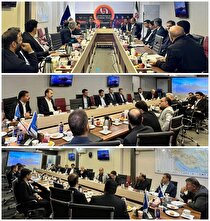 دامپینگ چینی، بلای جان ورق‌سازان