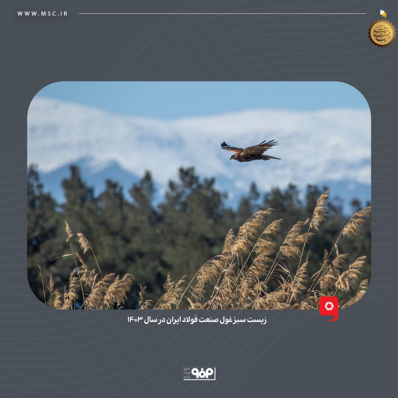 زیست سبز غول صنعت فولاد ایران در ۱۴۰۳
