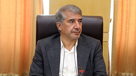 قطعی گاز باعث تضعیف عملکرد پتروشیمی‌ها شده است