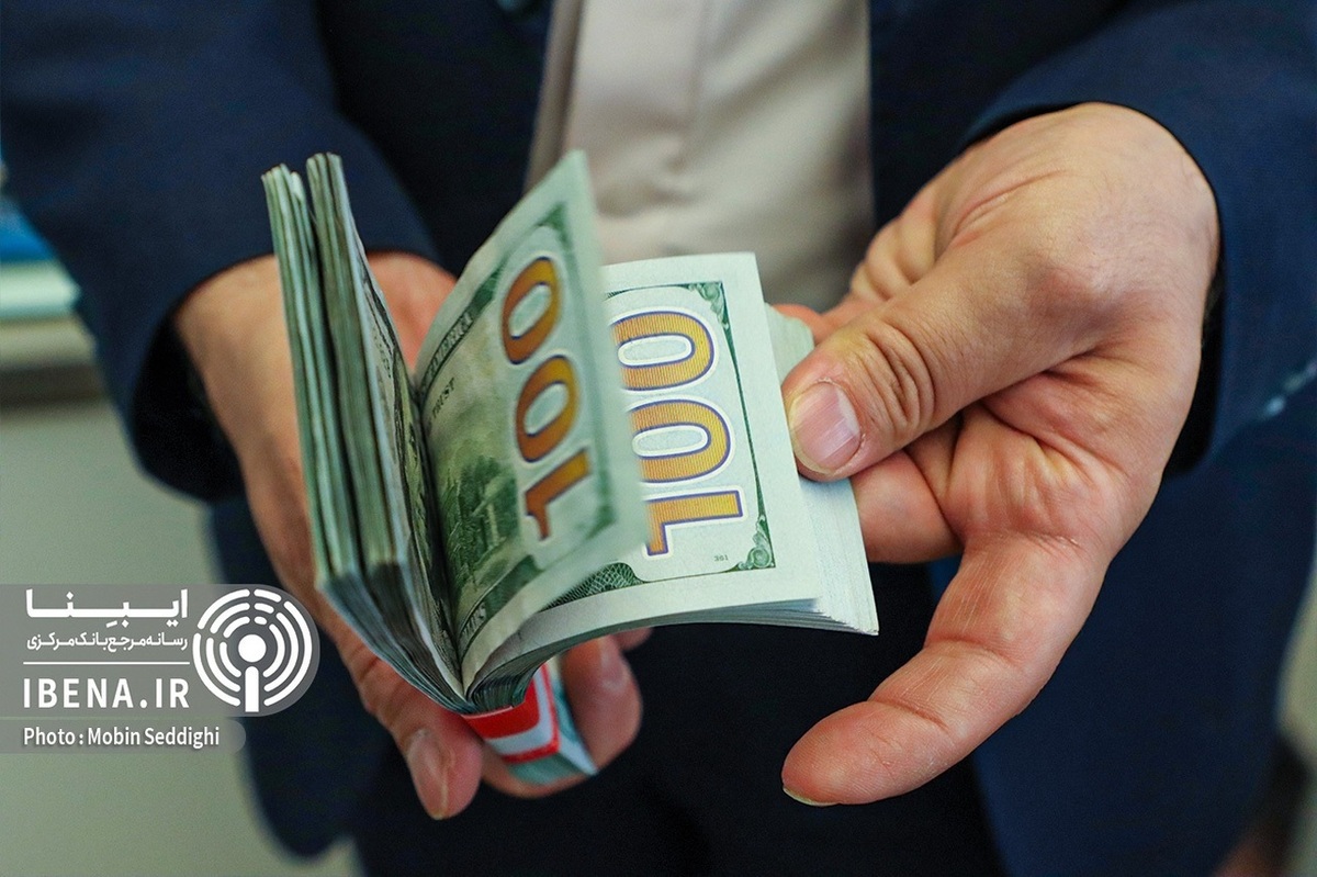 تزریق دلار ۱۵ شرکت پتروشیمی به بازار