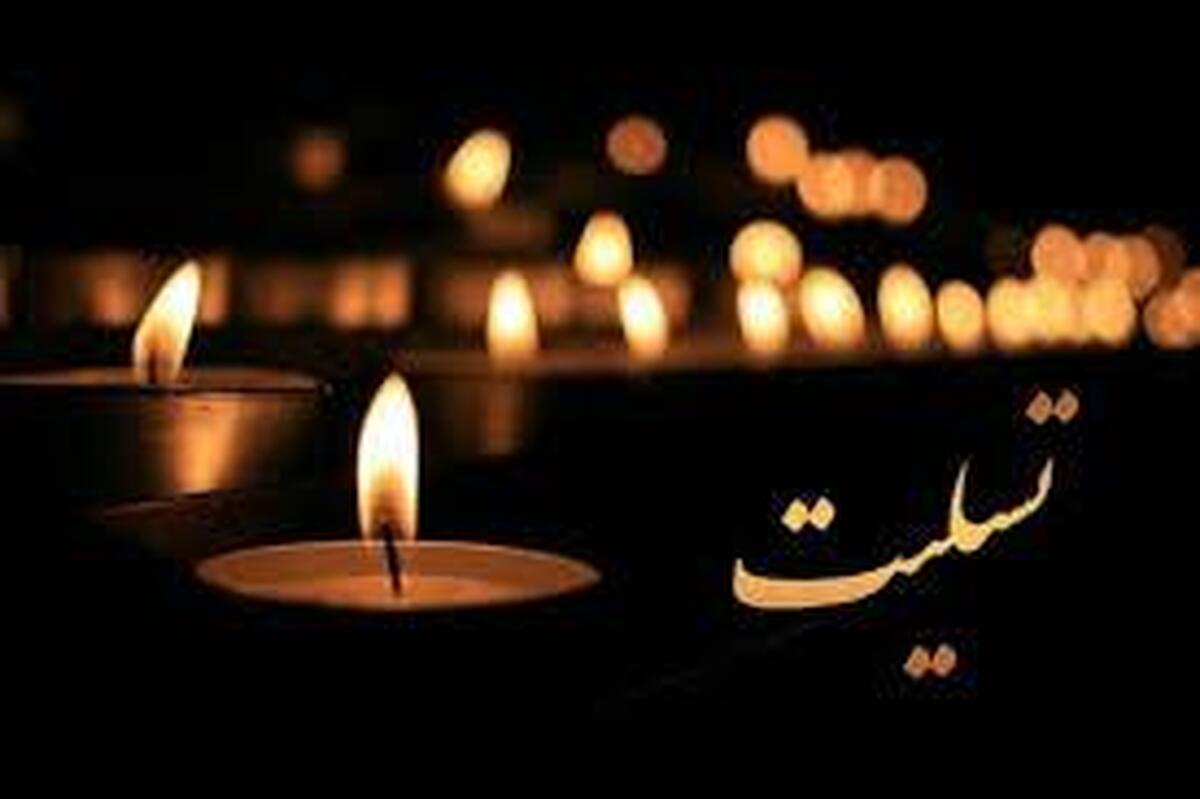 پیام تسلیت مدیرعامل فولاد سنگان در پی درگذشت «حمید محمدی‌رفیع»