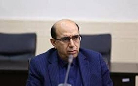 افزایش قیمت تولیدات ایران خودرو و سایپا معقول نیست