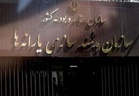تاکید بر شفافیت مالی در آستانه مجمع عمومی سازمان هدفمندسازی یارانه‌ها
