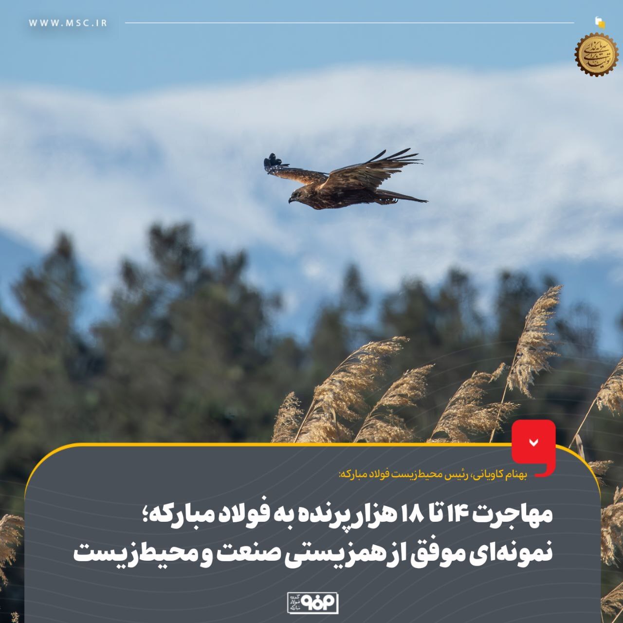 مهاجرت ۱۴ تا ۱۸ هزار پرنده به فولاد مبارکه؛ نمونهای موفق از همزیستی صنعت و محیط زیست مهاجرت ۱۴ تا ۱۸ هزار پرنده به فولاد مبارکه؛ نمونهای موفق از همزیستی صنعت و محیط زیست