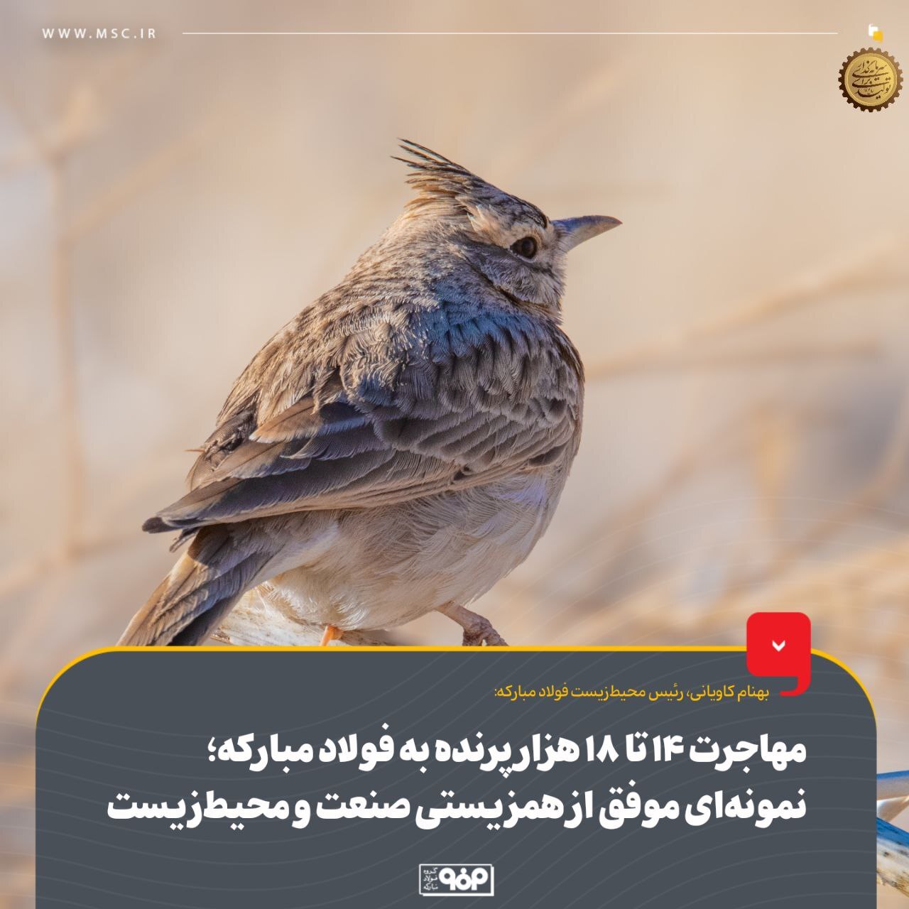 مهاجرت ۱۴ تا ۱۸ هزار پرنده به فولاد مبارکه؛ نمونهای موفق از همزیستی صنعت و محیط زیست مهاجرت ۱۴ تا ۱۸ هزار پرنده به فولاد مبارکه؛ نمونهای موفق از همزیستی صنعت و محیط زیست