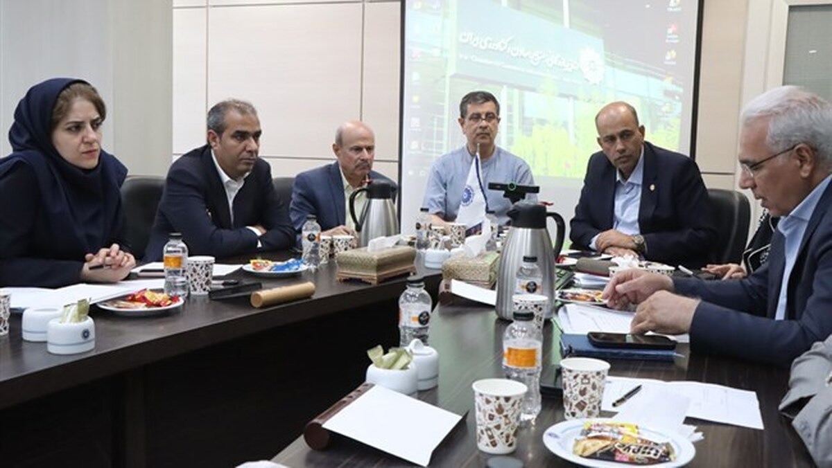 دولت و صندوق‌های حمایتی از صنعت حمل‌ونقل هوایی حمایت کنند/ بیمه محلی برای جبران خسارت کانتینر‌ها ورود کند