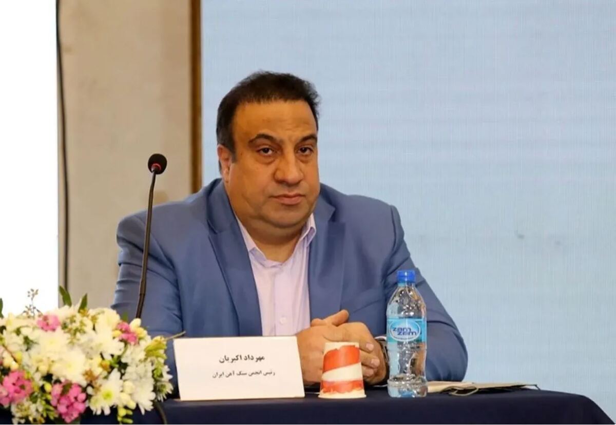 چین تنها مشتری اصلی محصولات زنجیره فولاد ایران است/ میزان صادرات سنگ آهن در سال ۱۴۰۴ به‌شدت کاهش یافته
