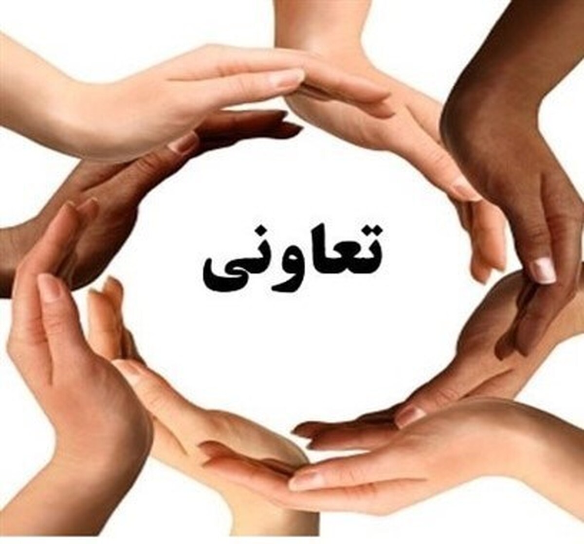 تعاونی‌ها معمار توسعه پایدار و عدالت اجتماعی