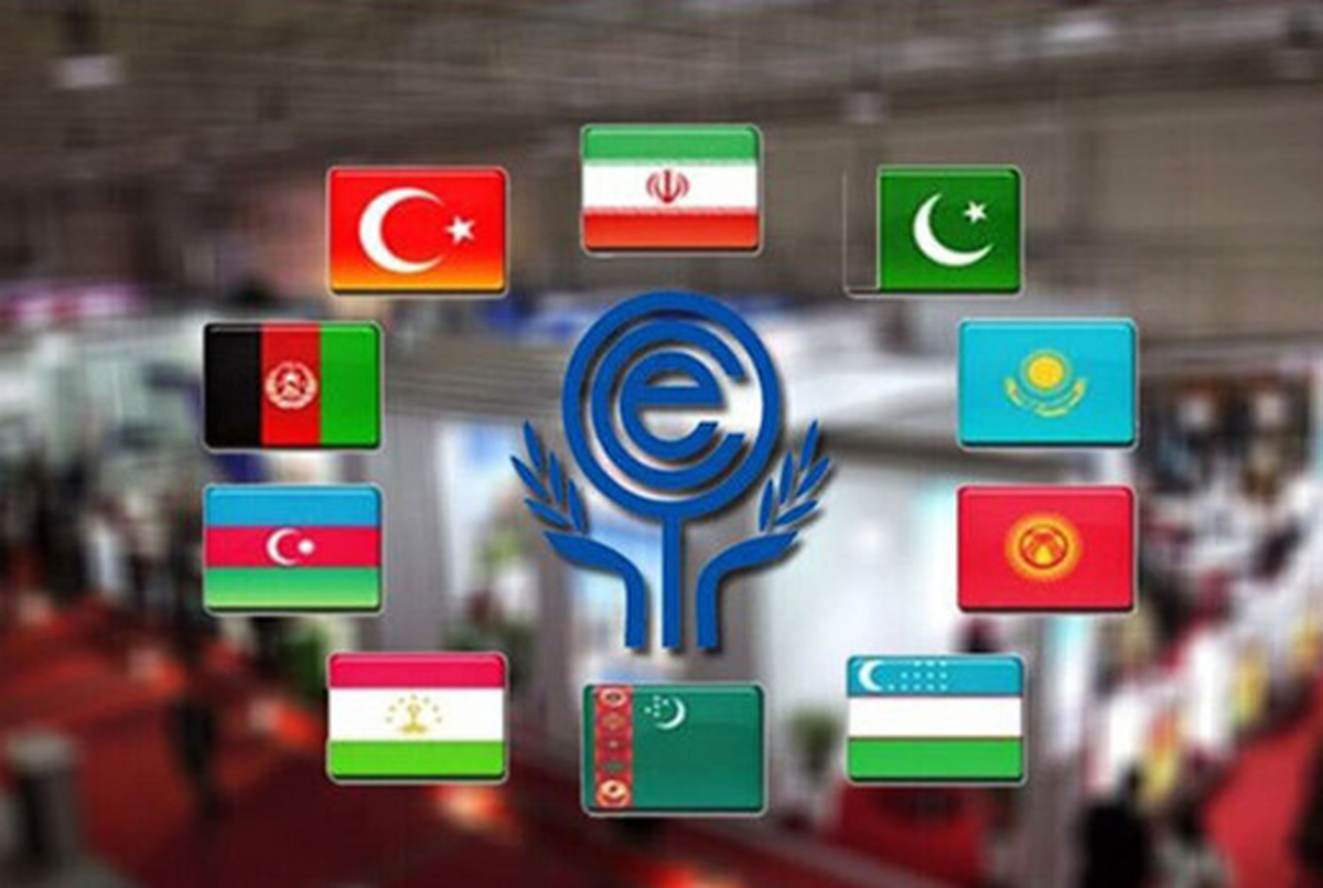 حضور فعال سازمان زمین‌شناسی و اکتشافات معدنی ایران در کمیته‌های تخصصی علوم زمین اکو