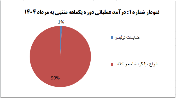 افزایش ۵۱ درصدی تولید، نویدبخش آینده‌ای روشن