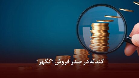 گندله در صدر فروش 