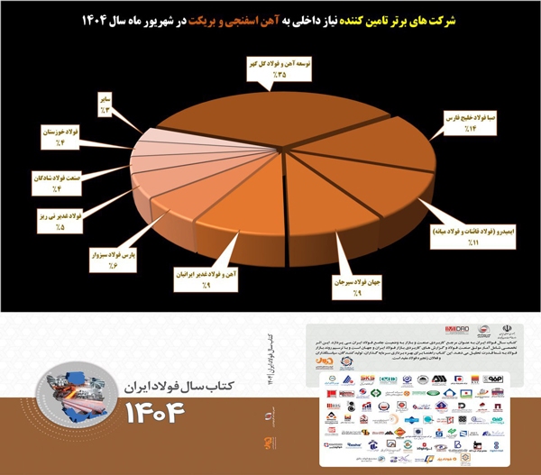 تسلط ۳ شرکت فولادی معدنی بر بازار آهن اسفنجی و بریکت/ یکه تازی توسعه آهن و فولاد گل‌گهر در بازار آهن اسفنجی