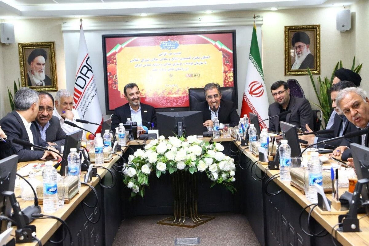 سمیعی‌نژاد: بازگشت ایمیدرو به اساسنامه، اهداف برنامه هفتم را محقق می‌کند