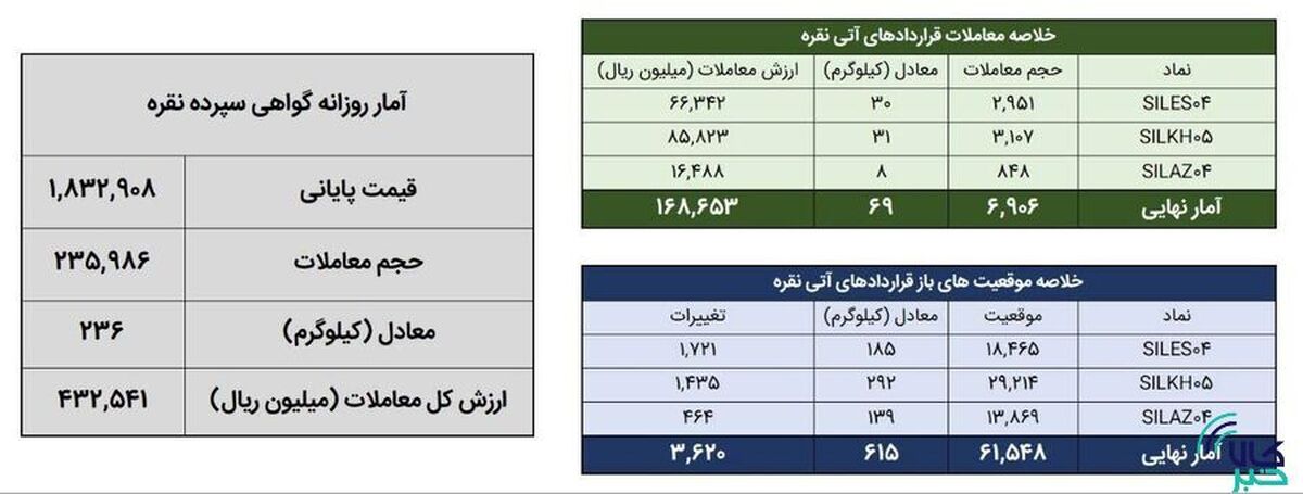 معامله ۳۰۵ کیلوگرم شمش نقره در بورس کالا