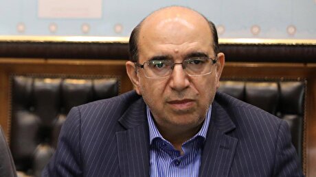 کنترل بازار خودرو بدون کنترل قیمت سایر کالا‌ها امکان‌پذیر نیست