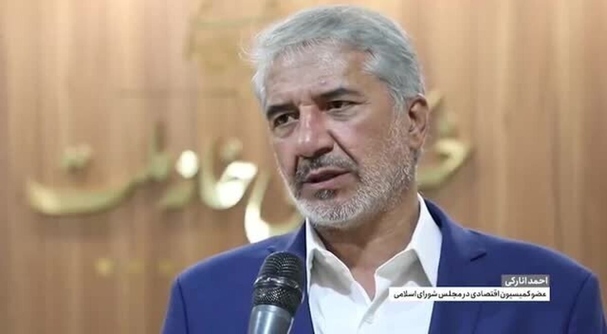 دولت با جدیت برای ریشه‌کن کردن ناترازی بانک‌ها ورود کند