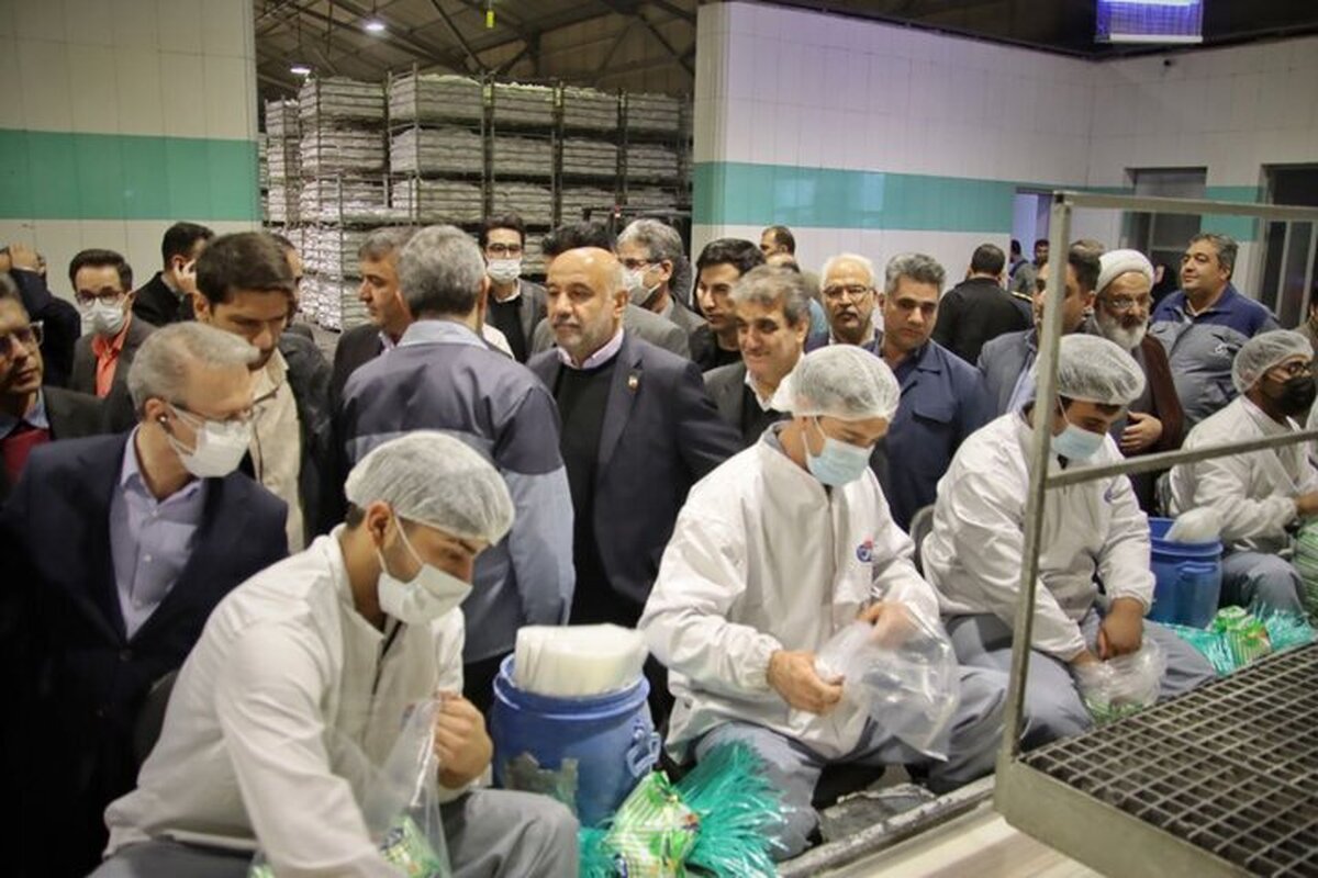 بازدید وزیر کار از شرکت املاح معدنی ایران و بررسی مسائل کارگری