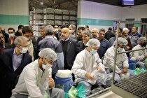 بازدید وزیر کار از شرکت املاح معدنی ایران و بررسی مسائل کارگری