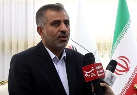 بخشی از مالیات ارزش افزوده کتمان می‌شود/دریافت آنی مشکل را حل می‌کند