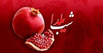 پیام مدیرعامل شرکت معدنی و صنعتی گل‌گهر، ویژه‌نامه شب یلدا (گلخانه) ۱۴۰۴