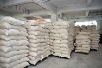 بازنگری استراتژیک در صادرات سیمان ایران