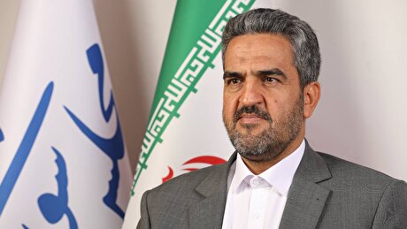 ضرورت پایبندی بانک مرکزی به قوانین مصوب برای مهار نرخ ارز/ با دلالان ارزی برخورد شود
