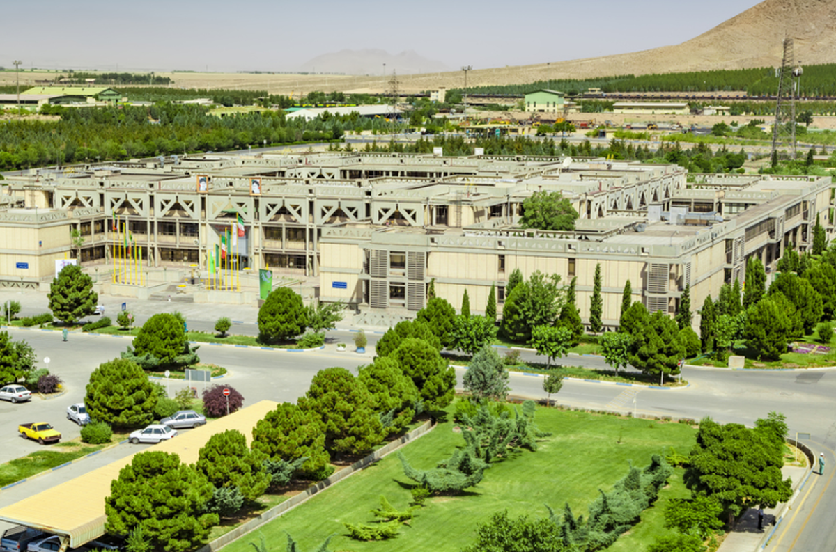 سازمان متعالی در میدان عمل