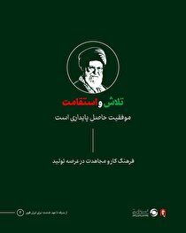 موفقیت حاصل پایداری است